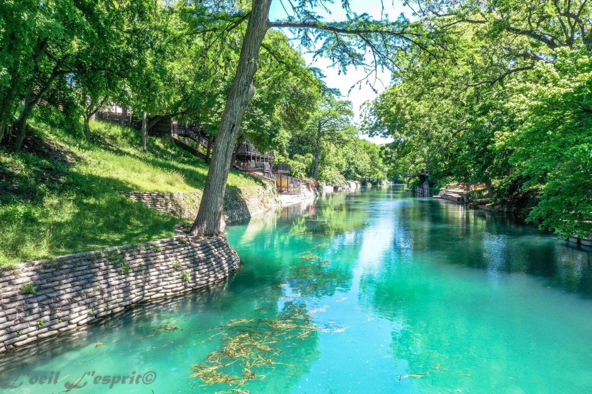 The Iron Cactus Condo On The Comal Cw C102 뉴 브라운펠스 외부 사진